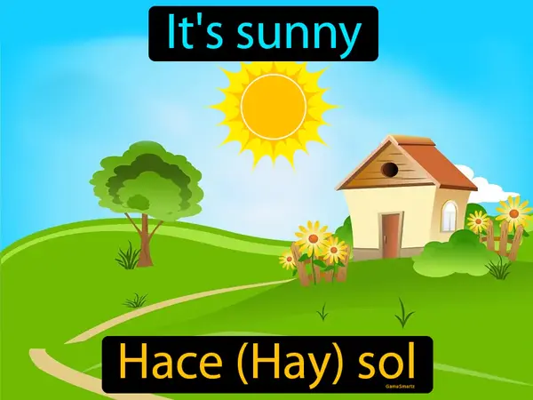 it's sunny