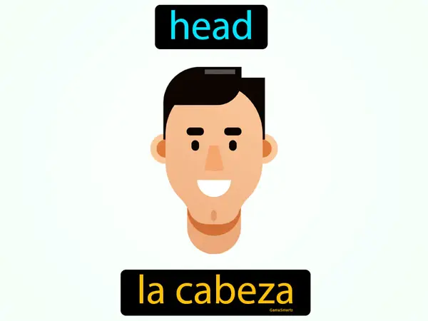 head