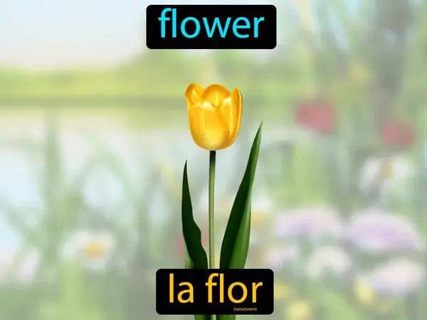 flower