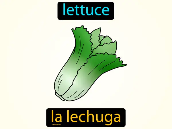 lettuce