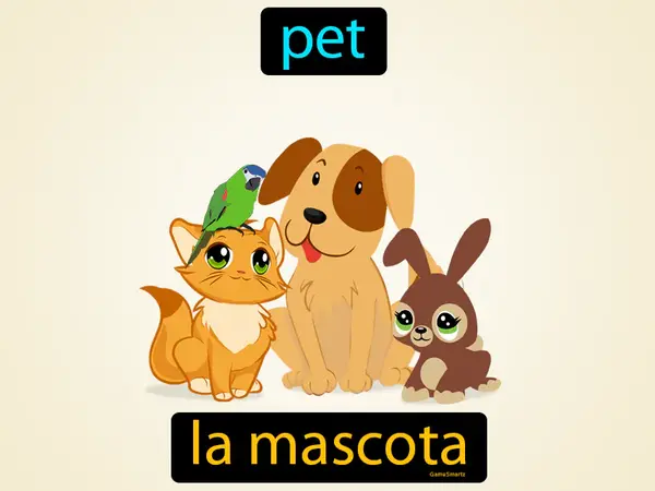 pet