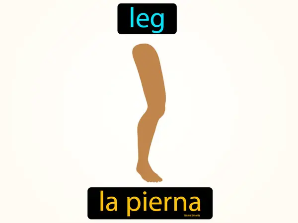 leg