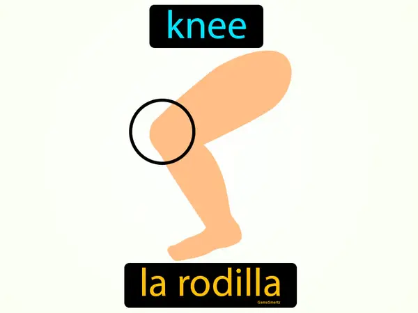knee