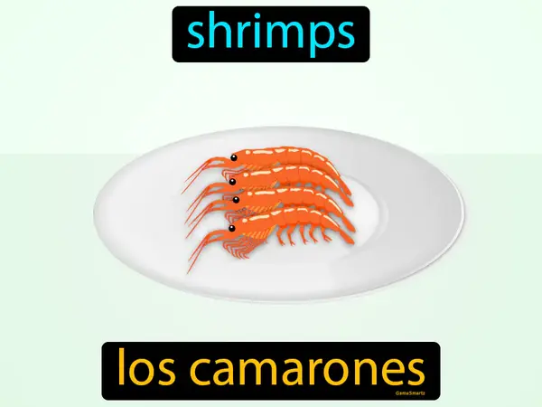 shrimps